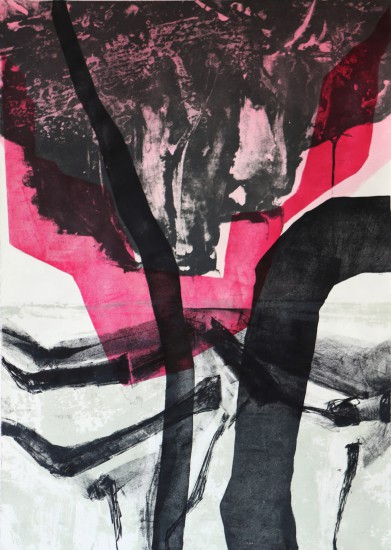 The (Un)reality | litography | 70x100cm